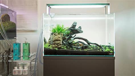 Full ADA 60P Aquascape Step by Step Tutorial .